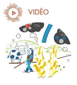 Quels sont les liens entre agriculture et changement climatique ?