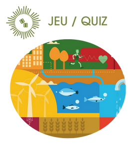 Quiz ODD
