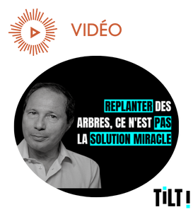 Replanter des arbres, ce n'est pas la solution miracle - Mastertilt