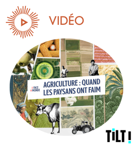Agriculture : quand les paysans ont faim - La Face du monde