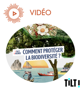 Comment protéger la biodiversité ? - La Face du monde