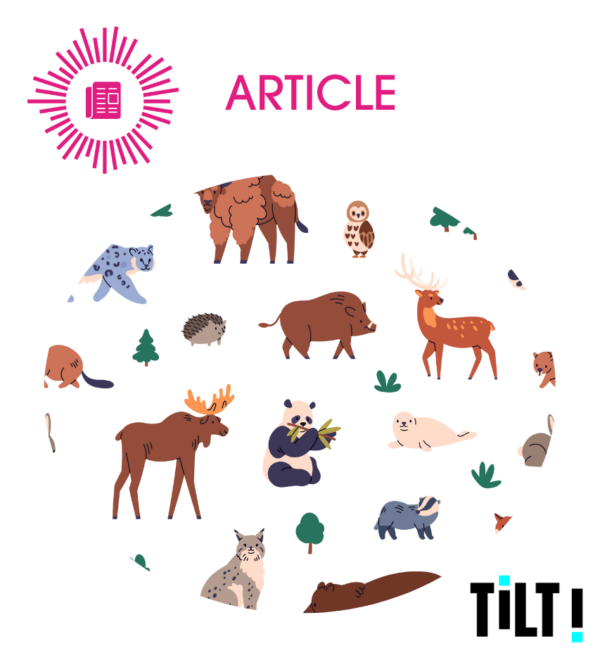 Zoom sur le trafic des espèces sauvages