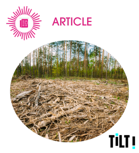 La déforestation importée, c’est quoi ?