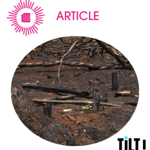un écocide, c'est quoi ?